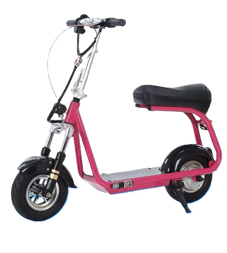 2 Wheels Electric Scooter